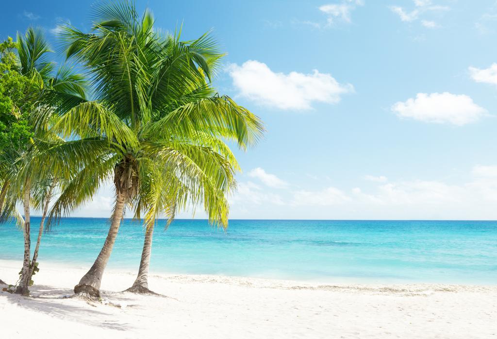 Dormio Bonaire Village Pokoj fotografie
