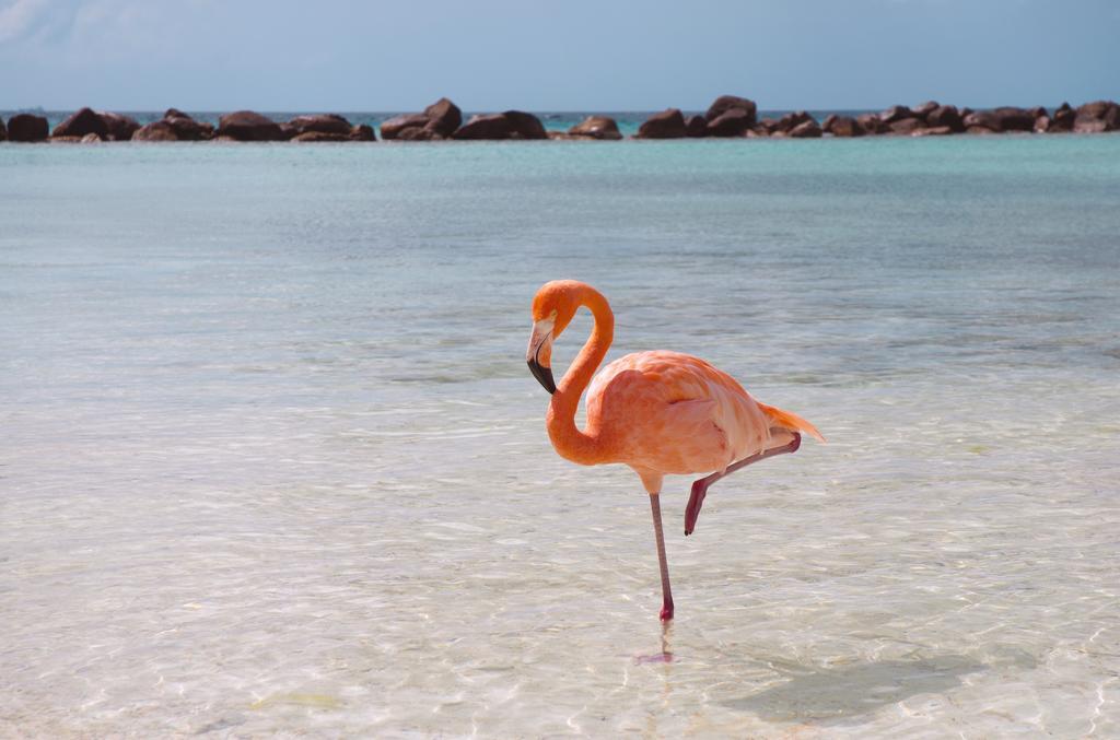 Dormio Bonaire Village Pokoj fotografie